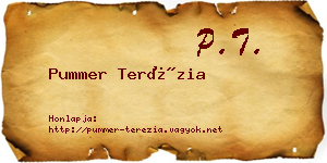 Pummer Terézia névjegykártya