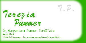 terezia pummer business card